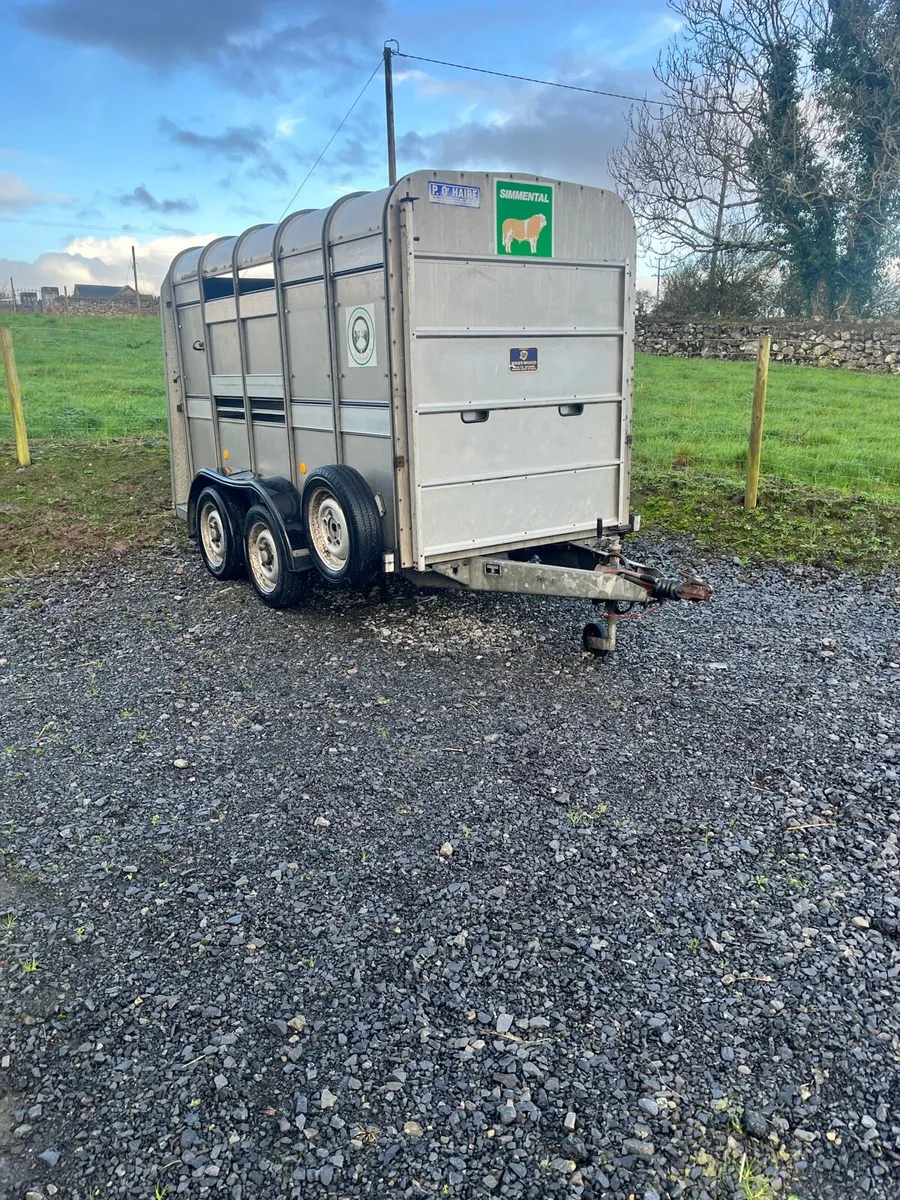 Ifor Williams livestock trailer - Image 1