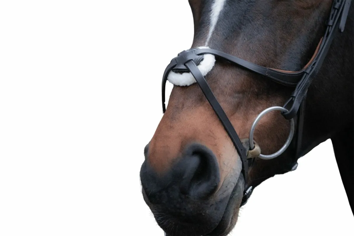 Brand New HKM Grackle Bridle - Image 3