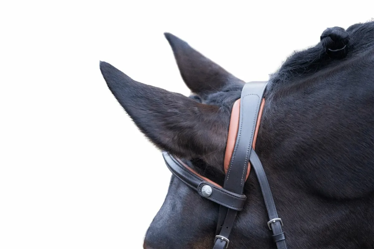 Brand New HKM Grackle Bridle - Image 4