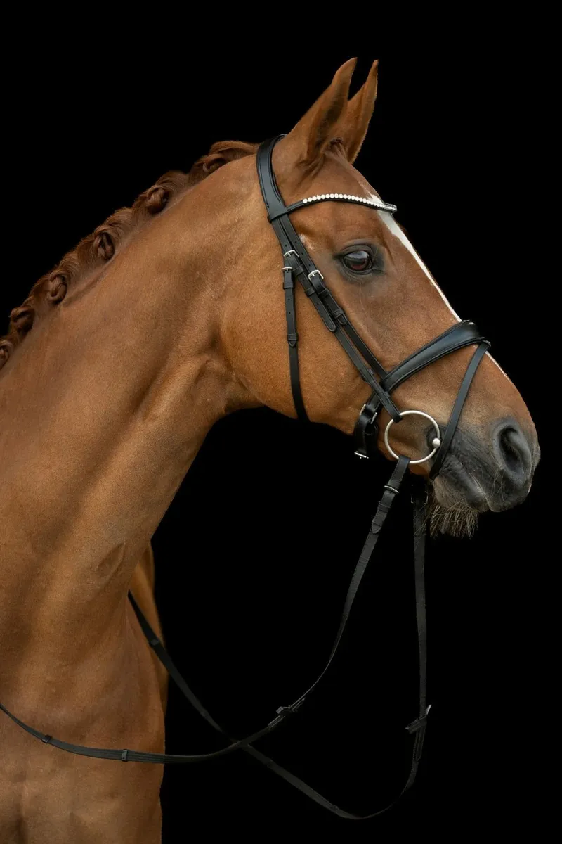 Brand New HKM Bridle - Image 4
