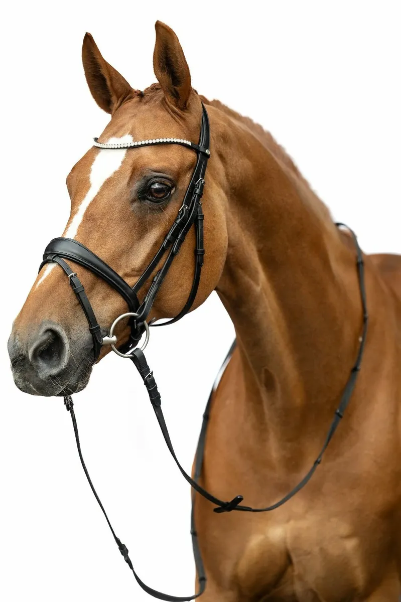 Brand New HKM Bridle - Image 1