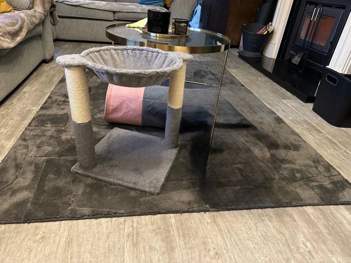 Cat beds toys + litter trays - Image 4