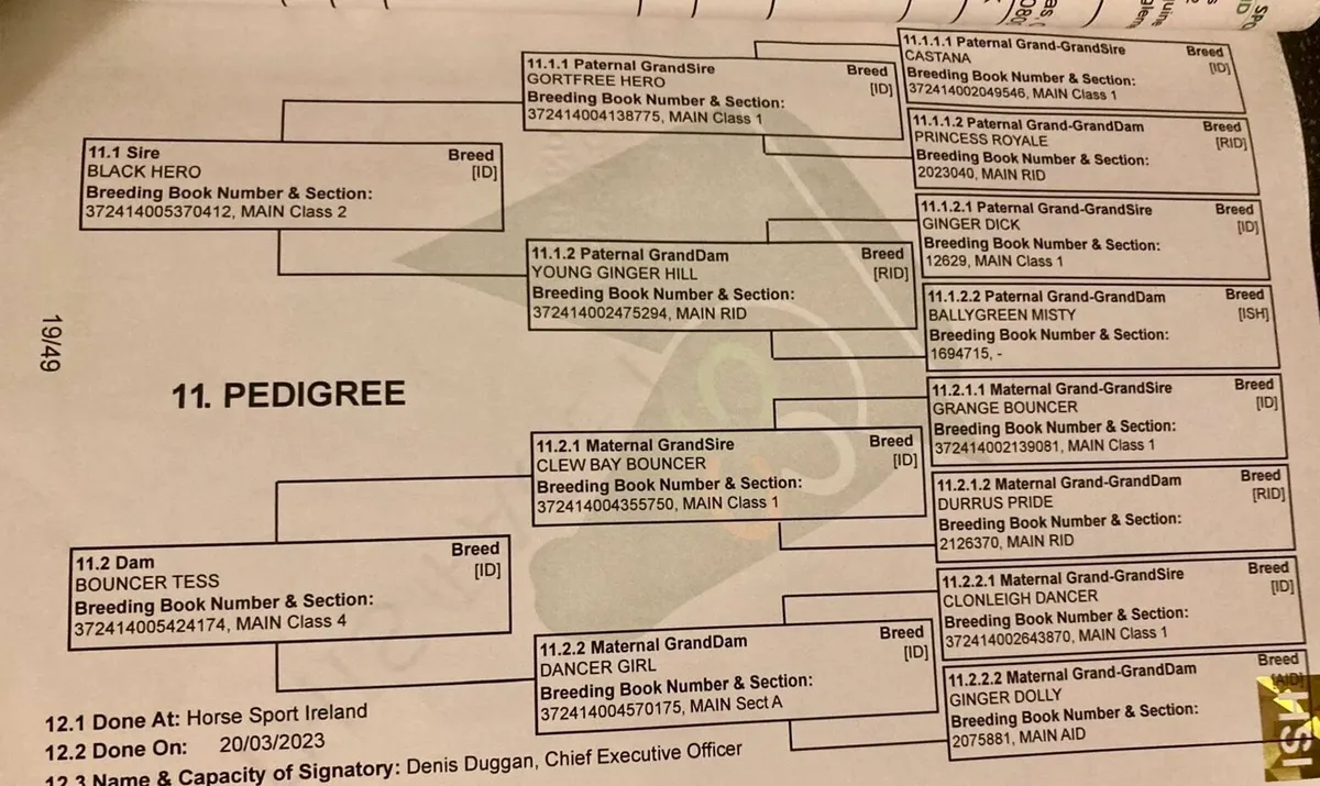 🇨🇮FULL REG DRAUGHT🇨🇮 - Image 3