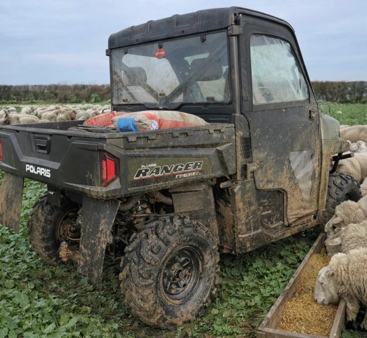 2018 POLARIS RANGER 1000cc DIESEL - Ready for work - Image 1
