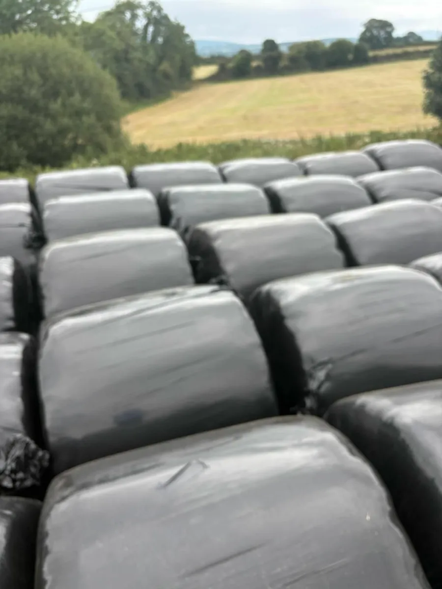Silage Bales - Image 1