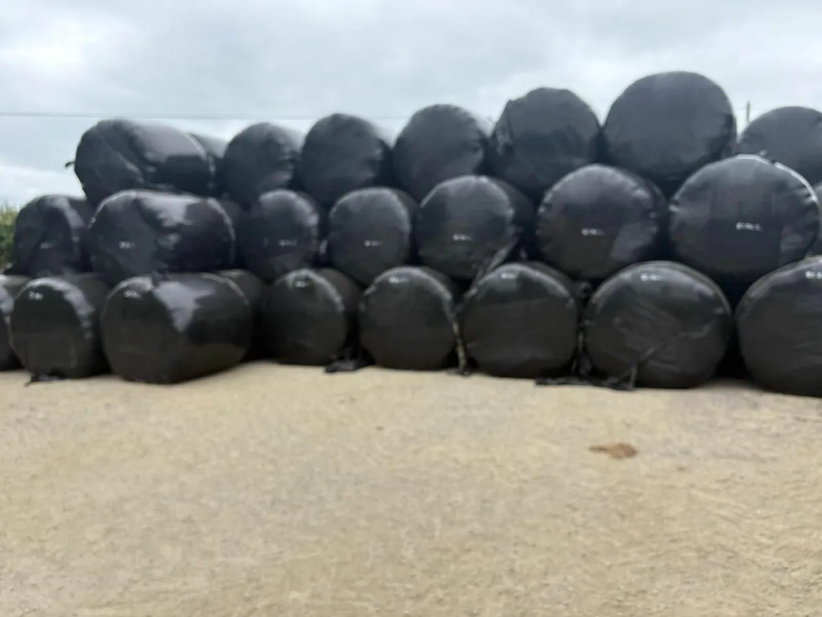 Silage Bales - Image 2