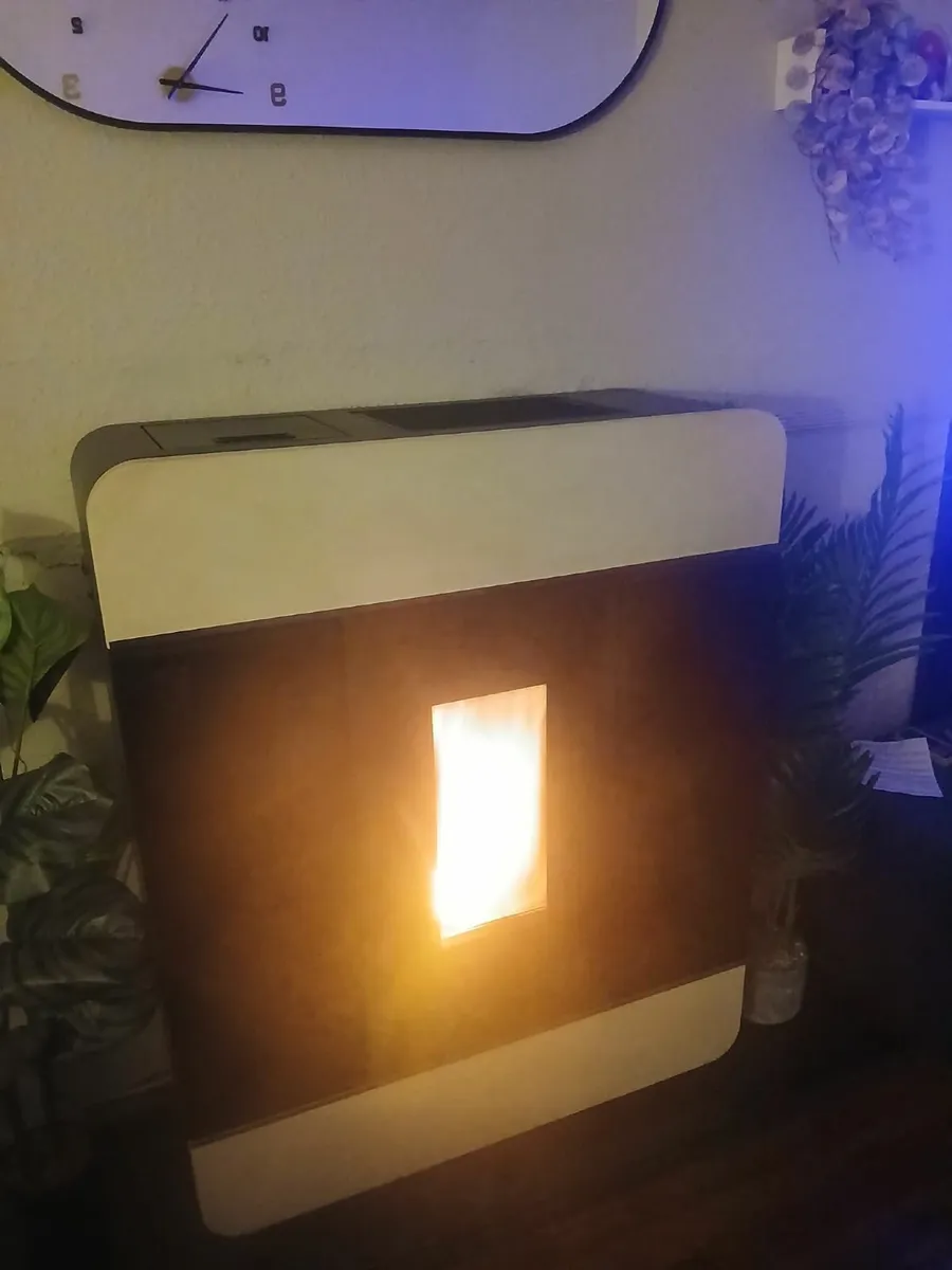 Pellet Boiler stove - Image 1