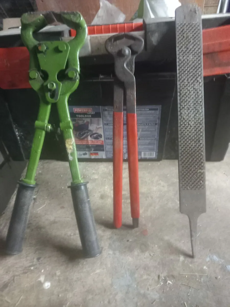 Horse tools