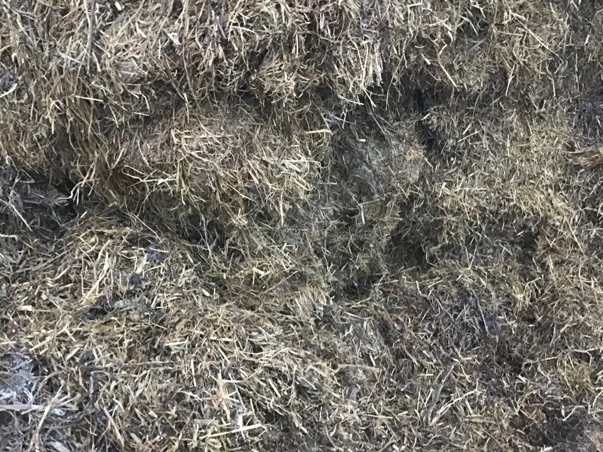 Pit silage and bales of silage - Image 4