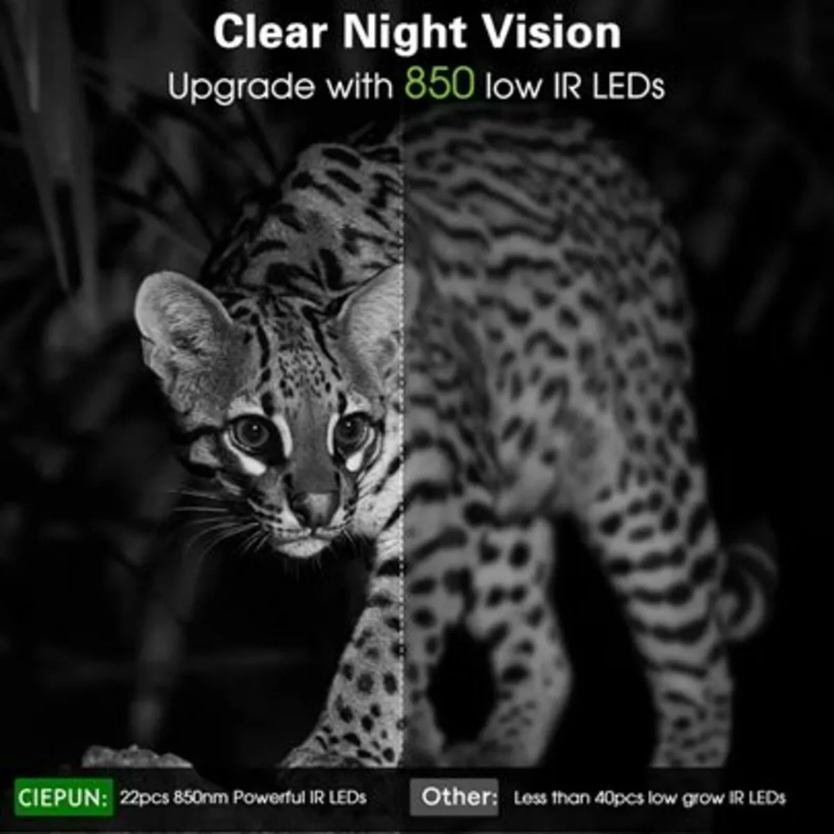 Trail Camera 4K 32MP - Image 4