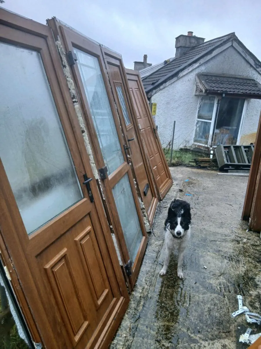 Golden oak doors - Image 4