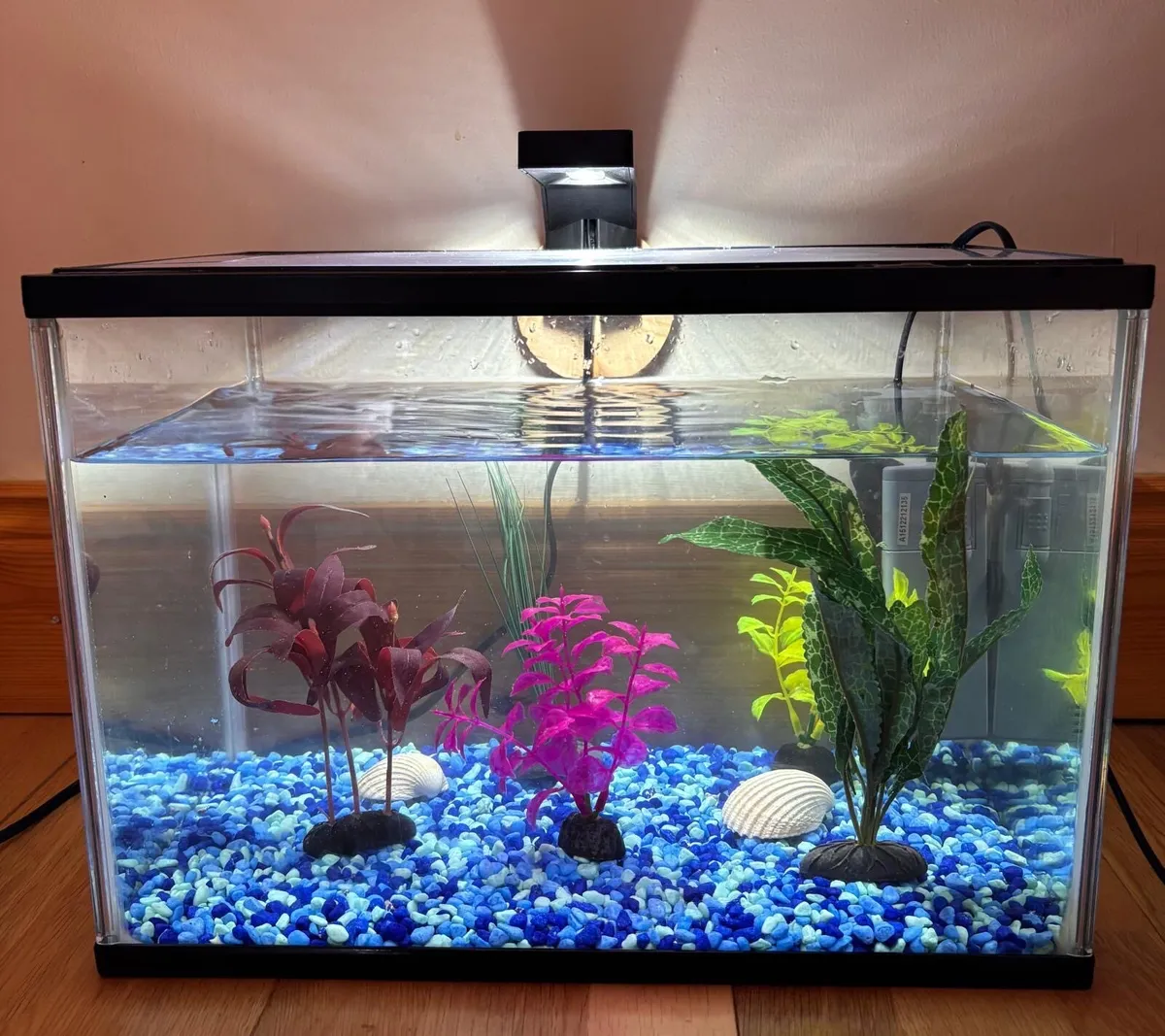 Fish Tank - Image 1
