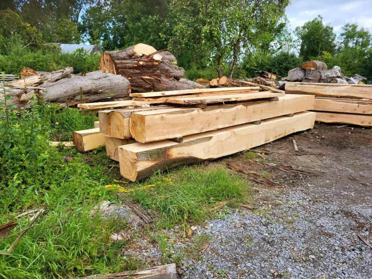 Western Red Cedar - Image 1