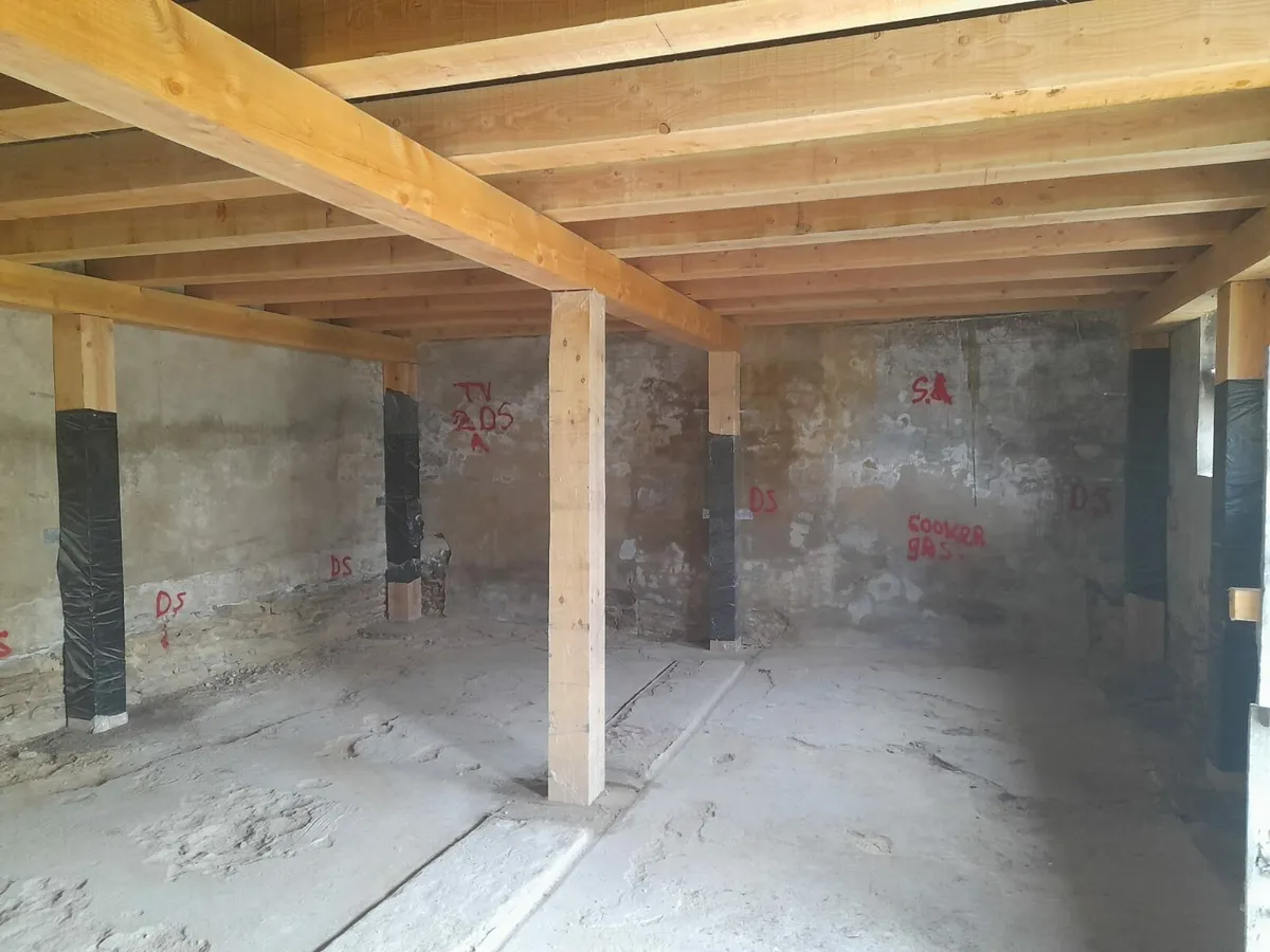 Western Red Cedar - Image 2