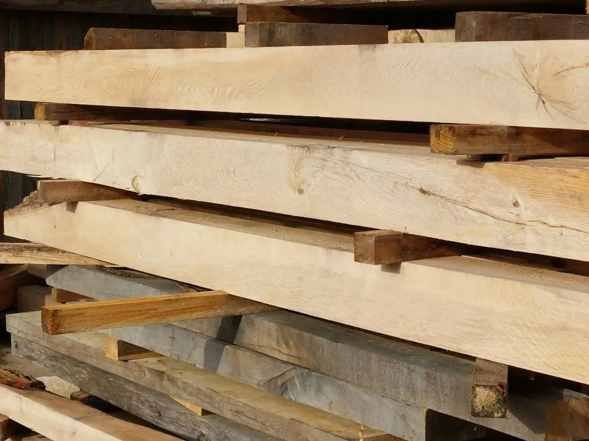 Western Red Cedar - Image 4