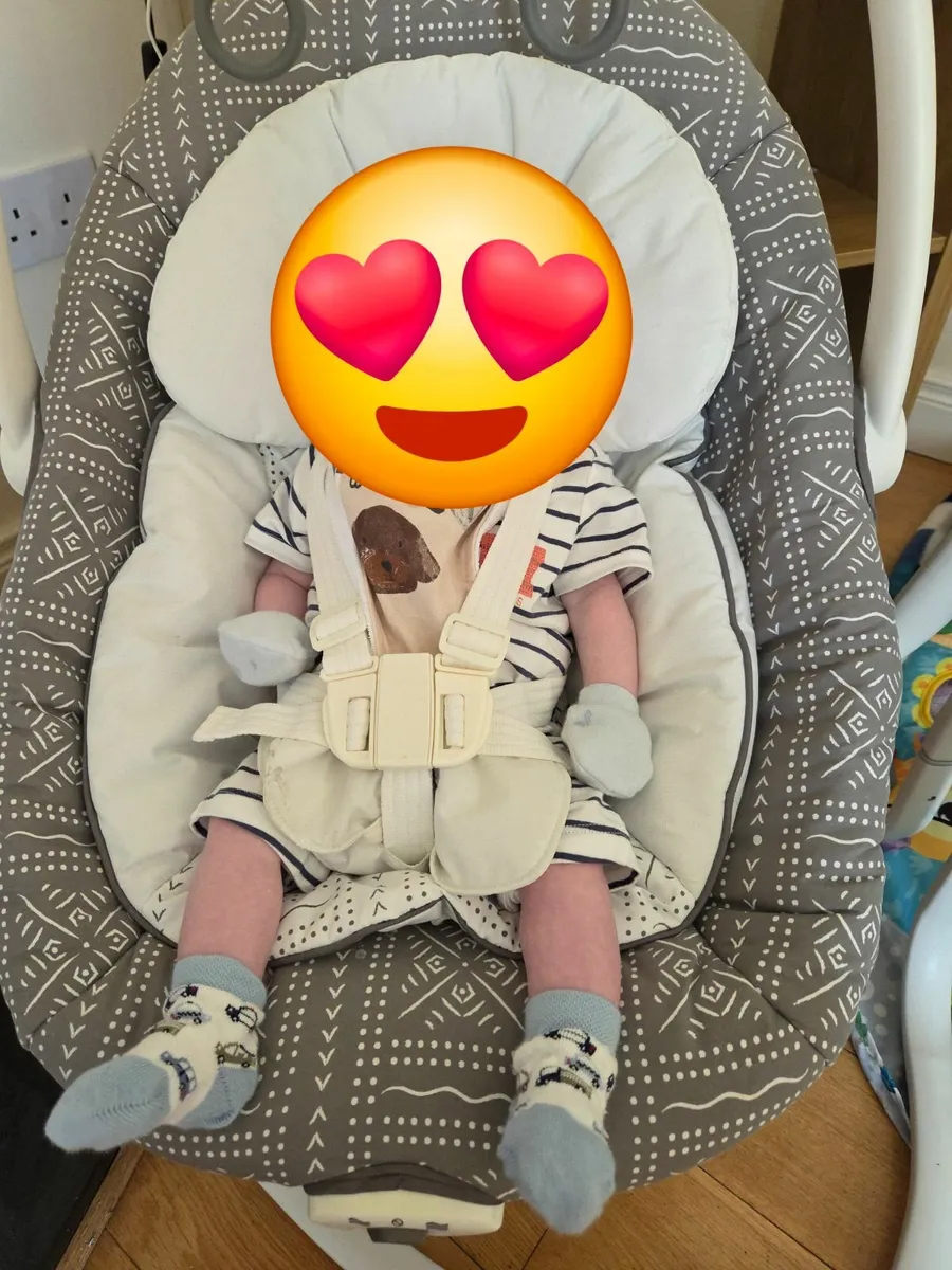 Joie Serina Multi Motion Swing Seat - Image 4