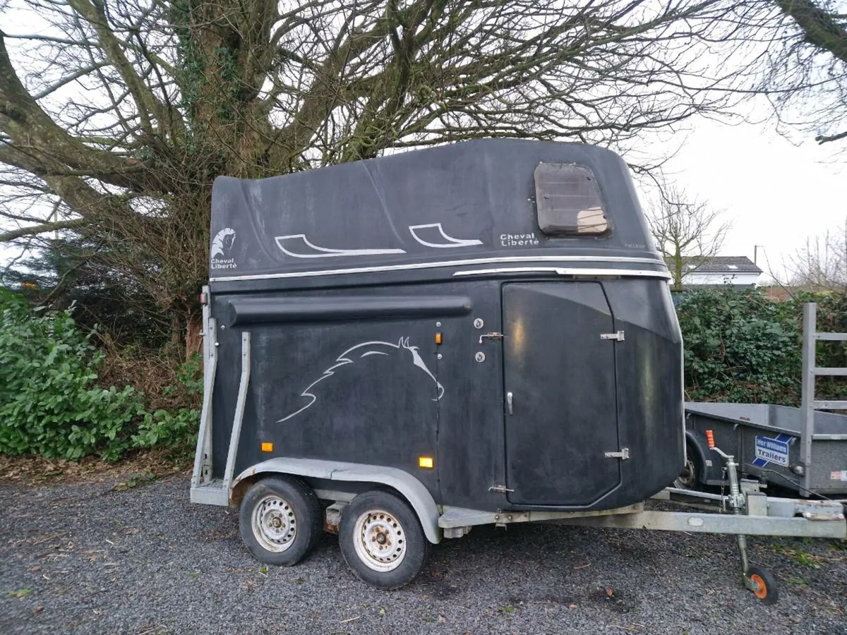 Cheval libertie double horse box - Image 2