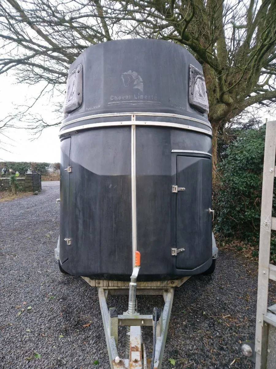 Cheval libertie double horse box - Image 3