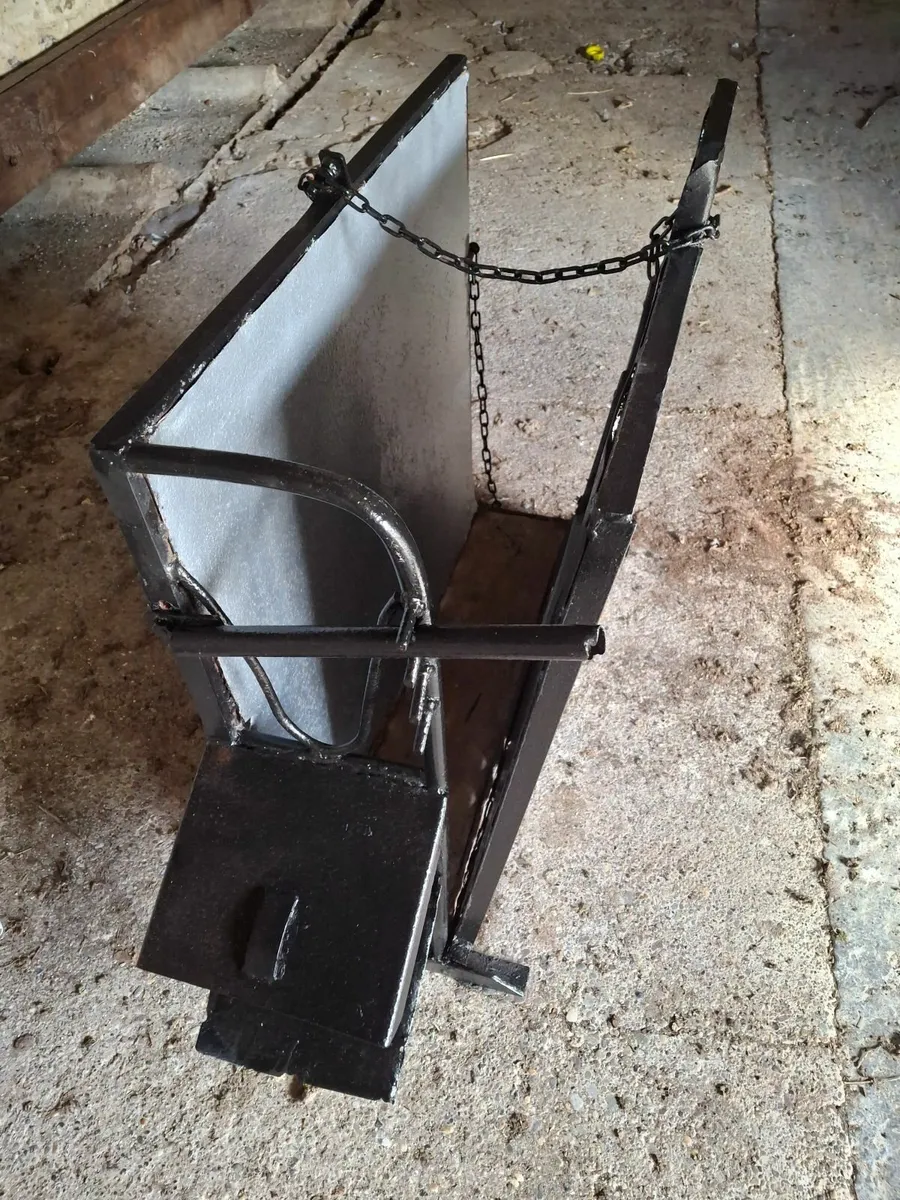 Calf Dehorning Crate – Refurbished Heavy-Duty - Image 4