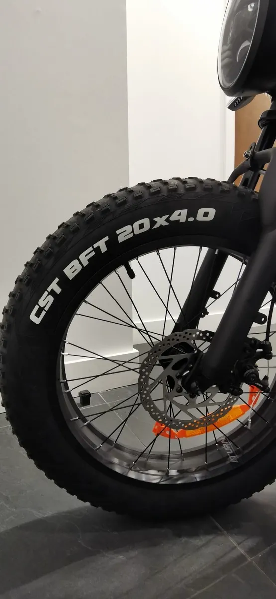 Electric Bike - Image 2