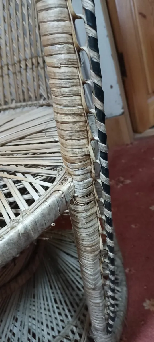 Peacock Chair - Image 1