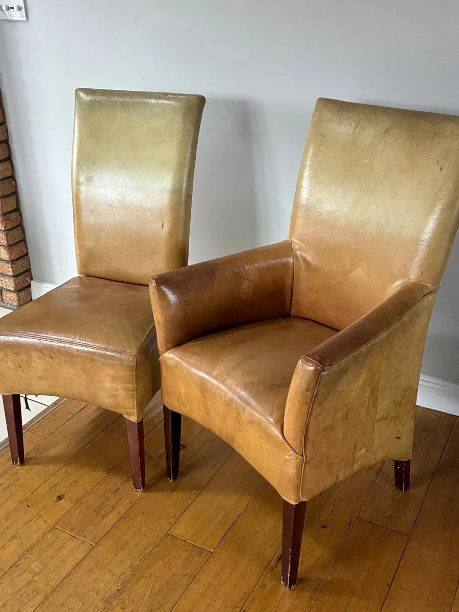 Dining room chairs - Image 1