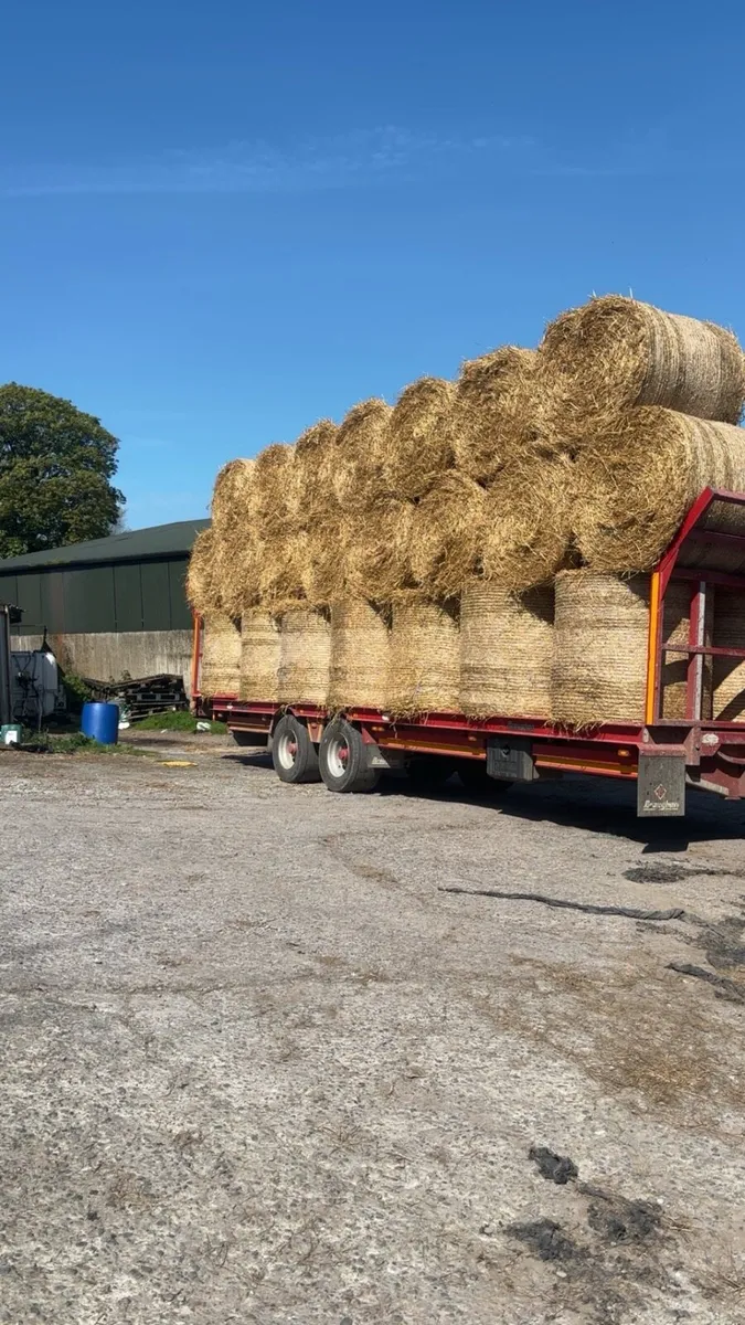 hay and straw  delivered - Image 1
