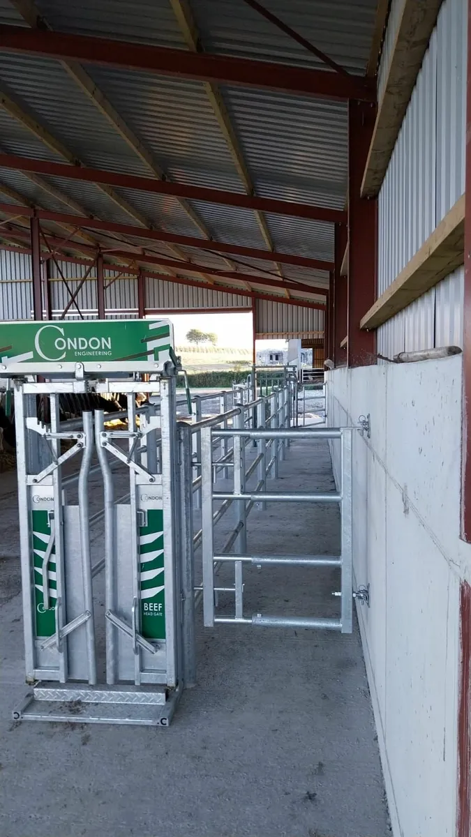 Livestock handling & housing fitouts - Image 1