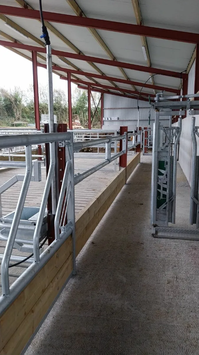 Livestock handling & housing fitouts - Image 3