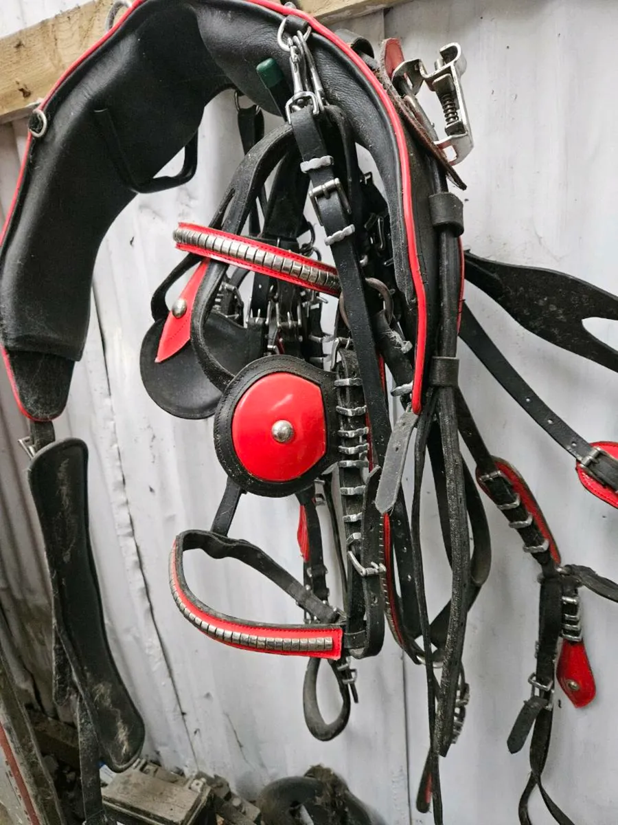 Quick hitch harness - Image 1