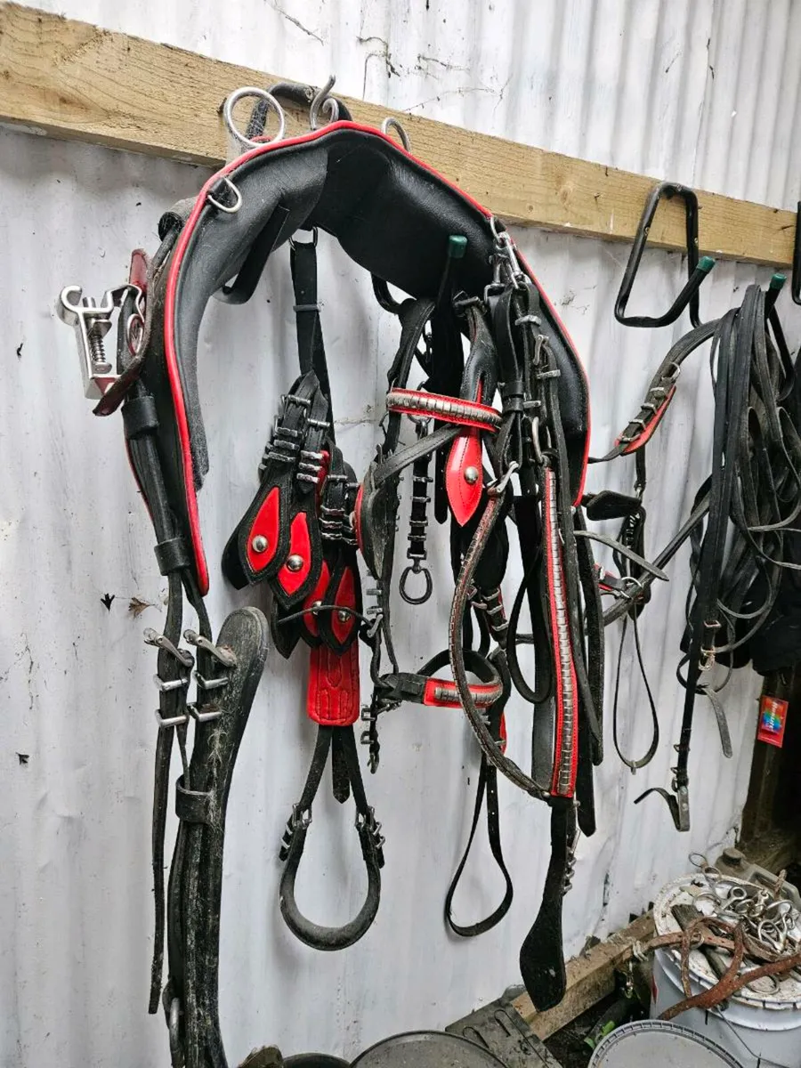 Quick hitch harness - Image 2