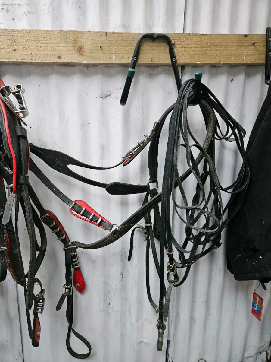 Quick hitch harness - Image 3