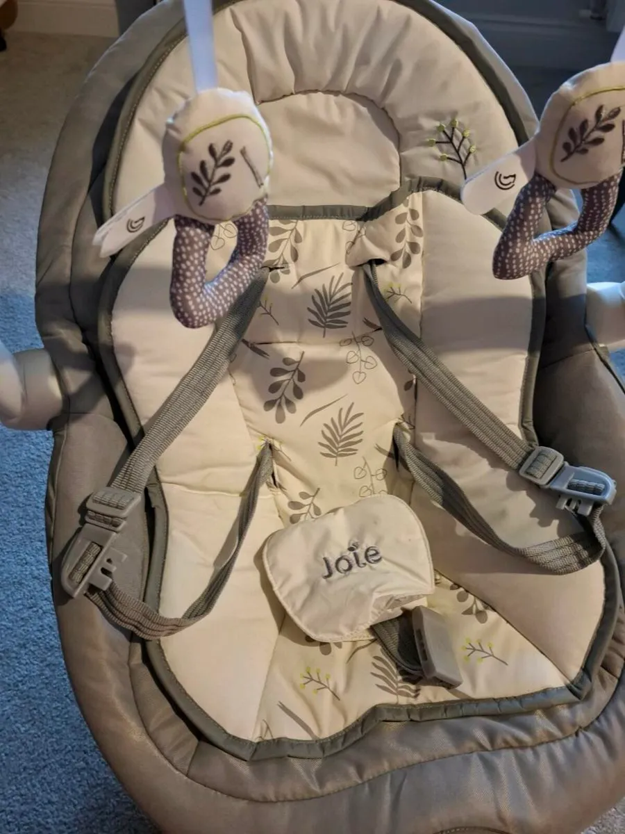 Joie Emeri 2-in-1 Baby Swing and Rocker - Image 4