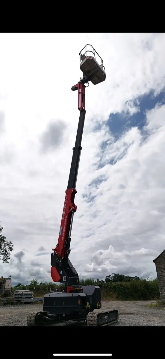 Track self propelled Cherry picker - Image 3