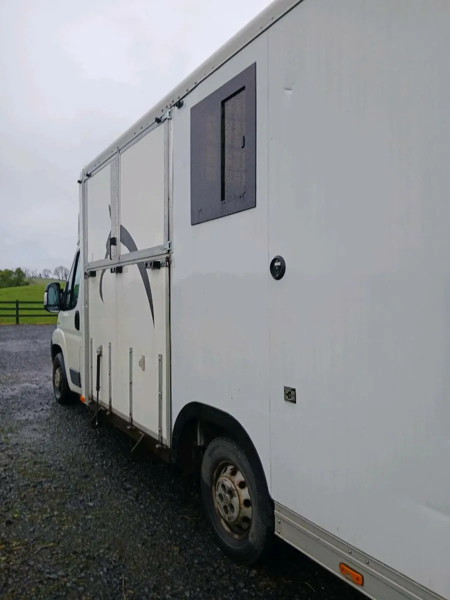 Horse truck - Image 4