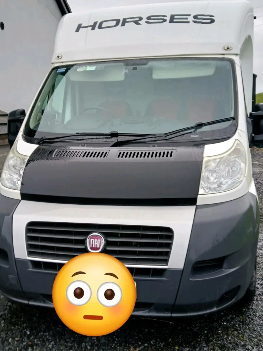 Horse truck - Image 1