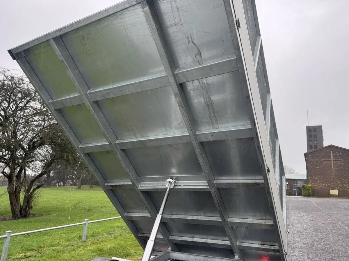 2021 Mercedes-Benz Sprinter Tipper Van - Image 3