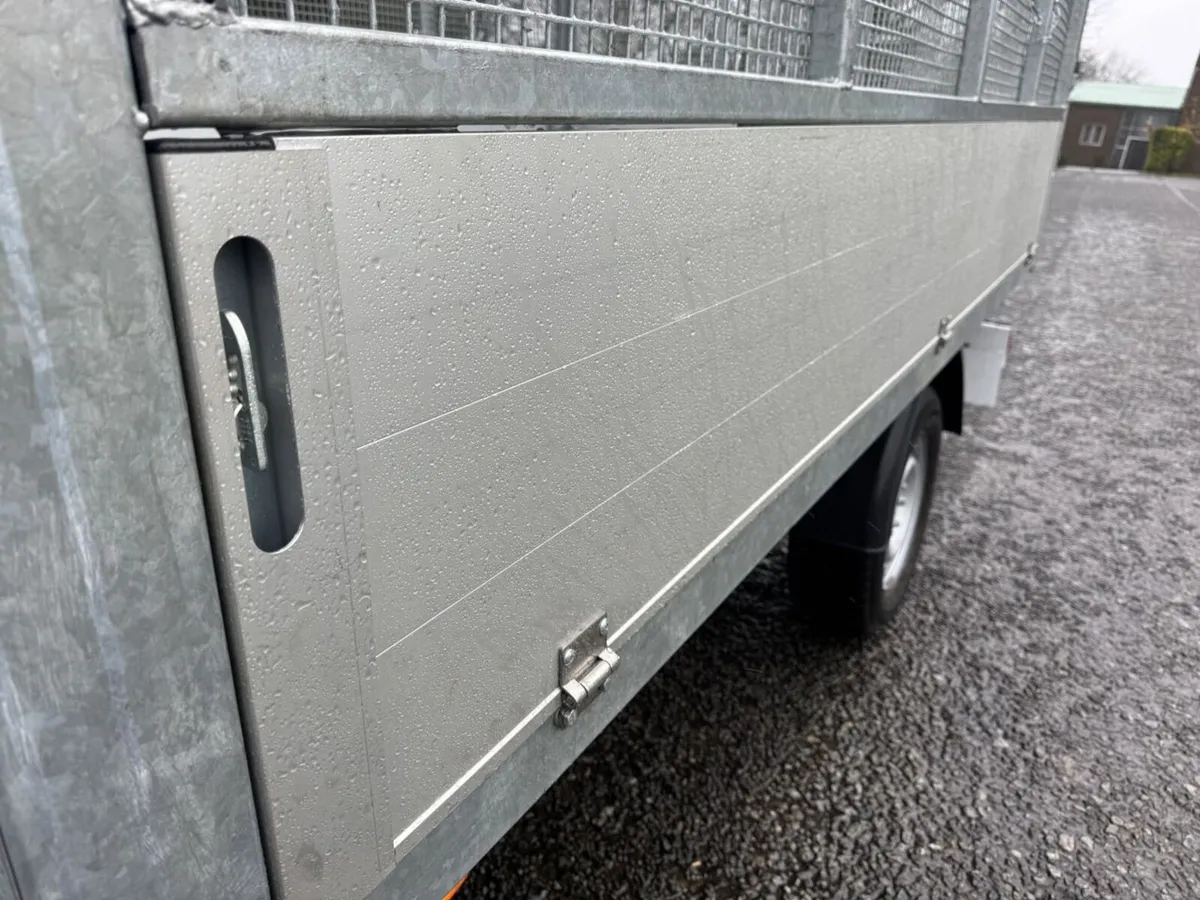 2021 Mercedes-Benz Sprinter Tipper Van - Image 4