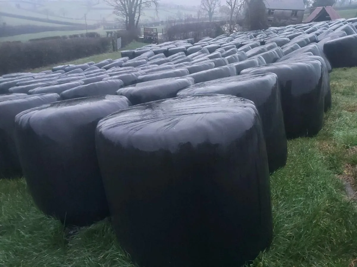 Silage bales