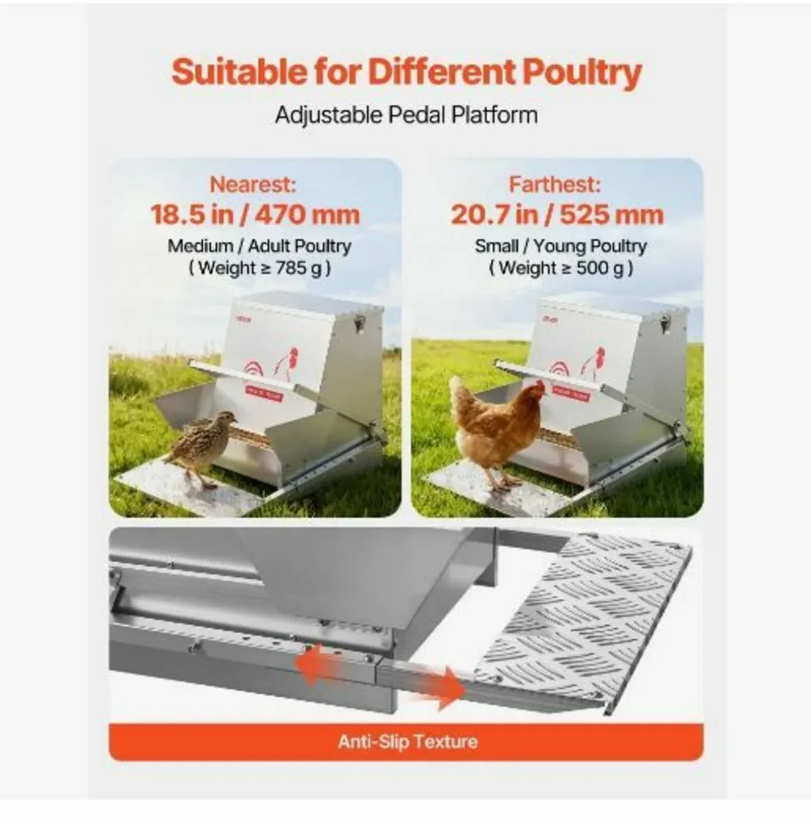 Automatic Chicken Feeder, 18.14 kg Capacity - Image 4