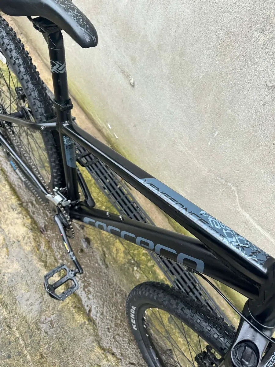 Carrera Vengeance - Image 4