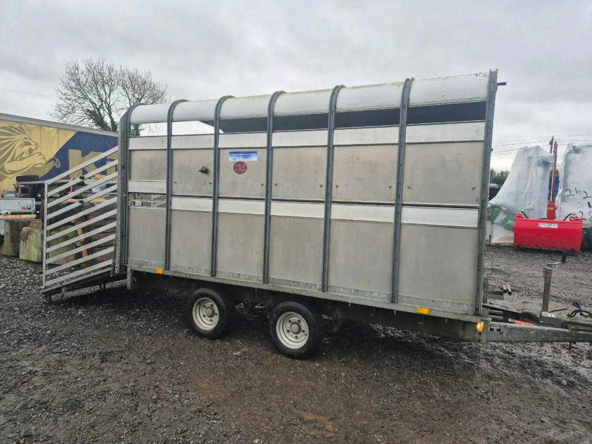 12ft Ifor William - Image 1