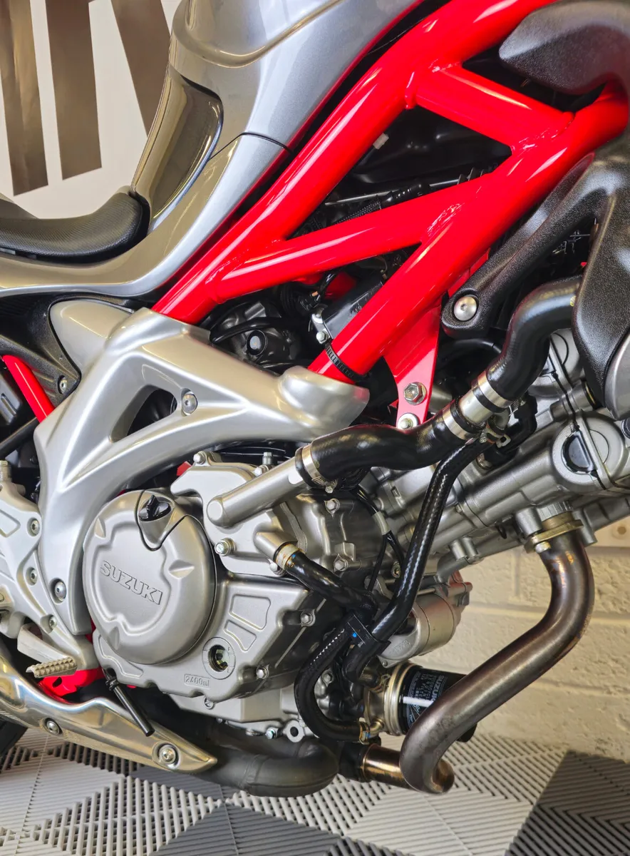 2010 Suzuki Gladius SV650 ABS Model - Image 3