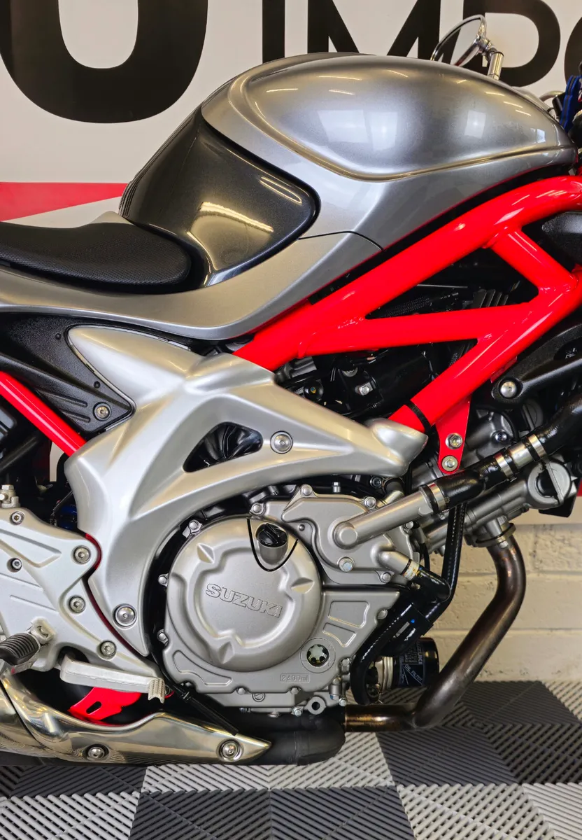 2010 Suzuki Gladius SV650 ABS Model - Image 2