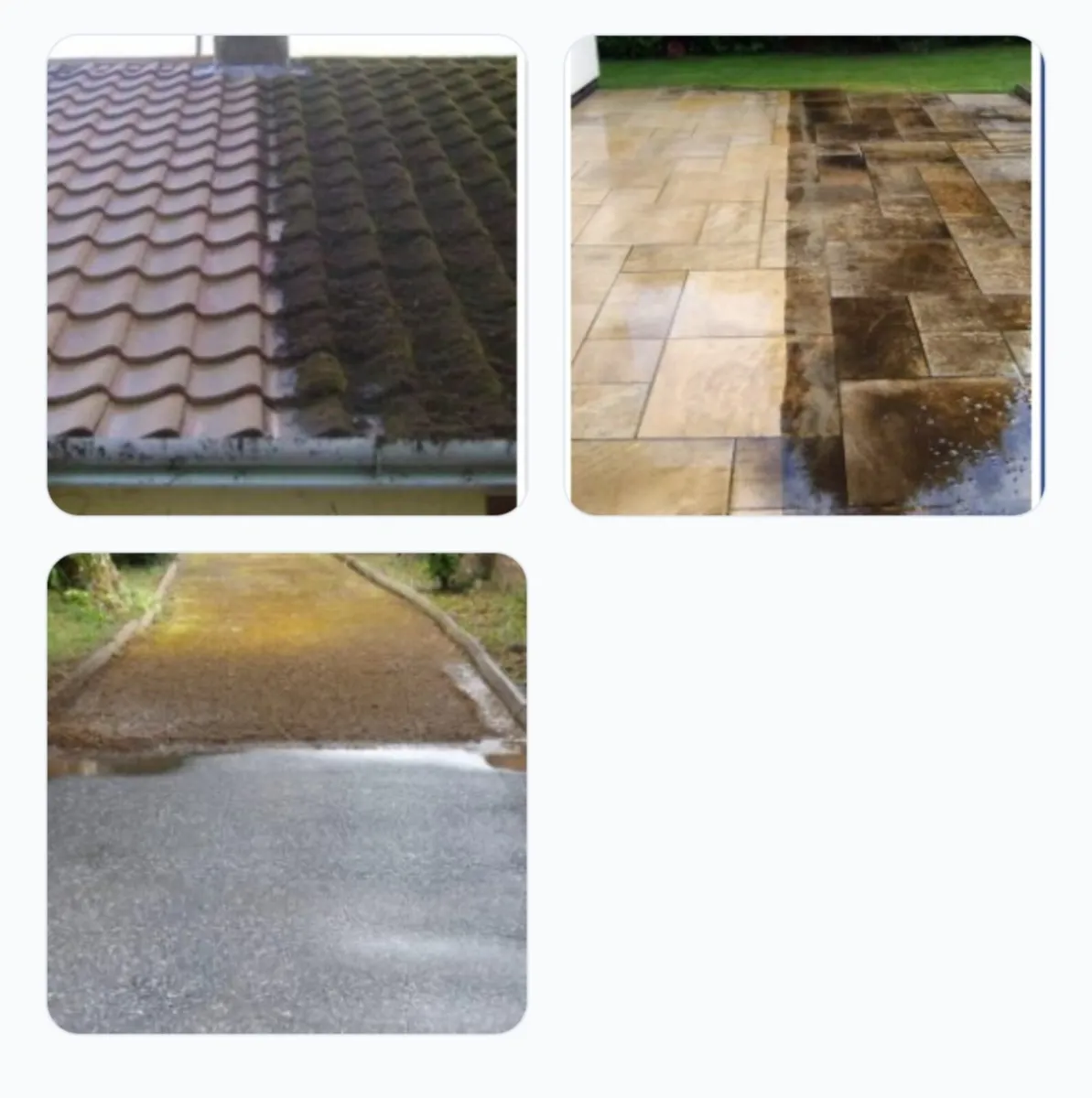 All class  steam cleaning garden servic - Image 4