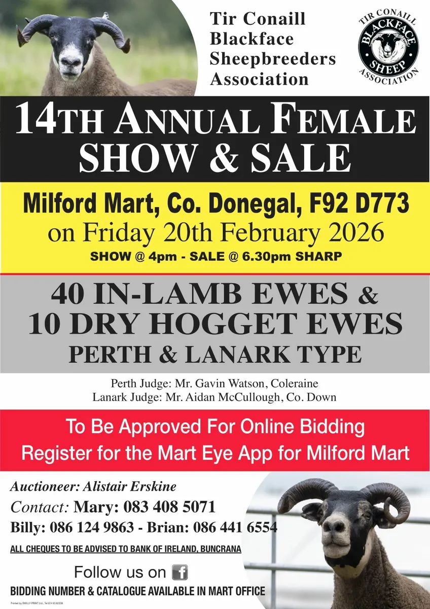 Tirconaill Blackface Sheep Breeders Association - Image 2
