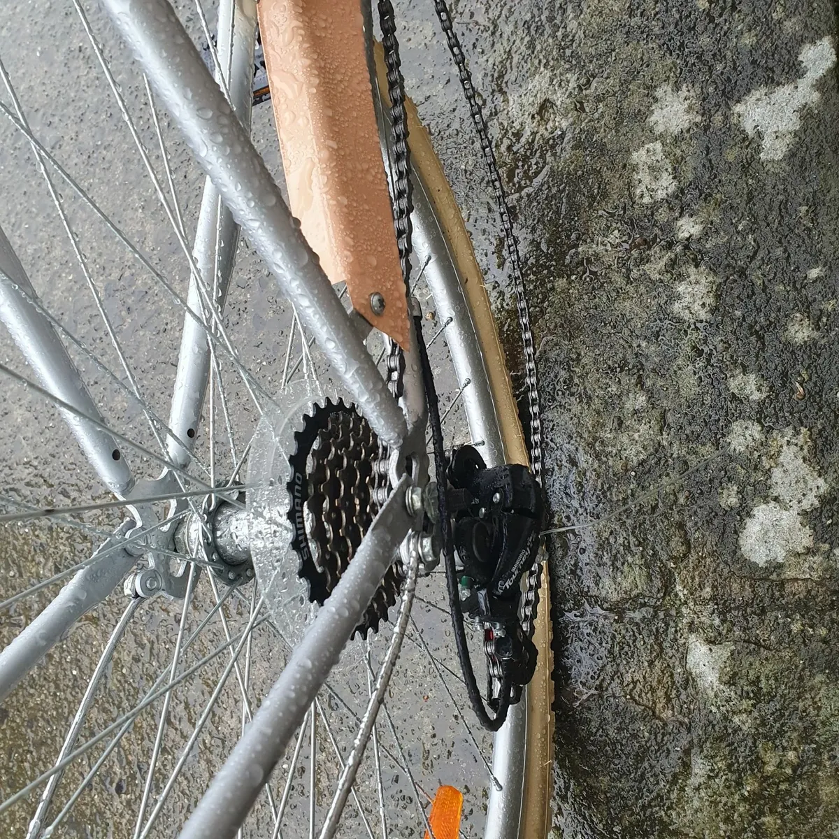 Ladies bicycle - Image 3