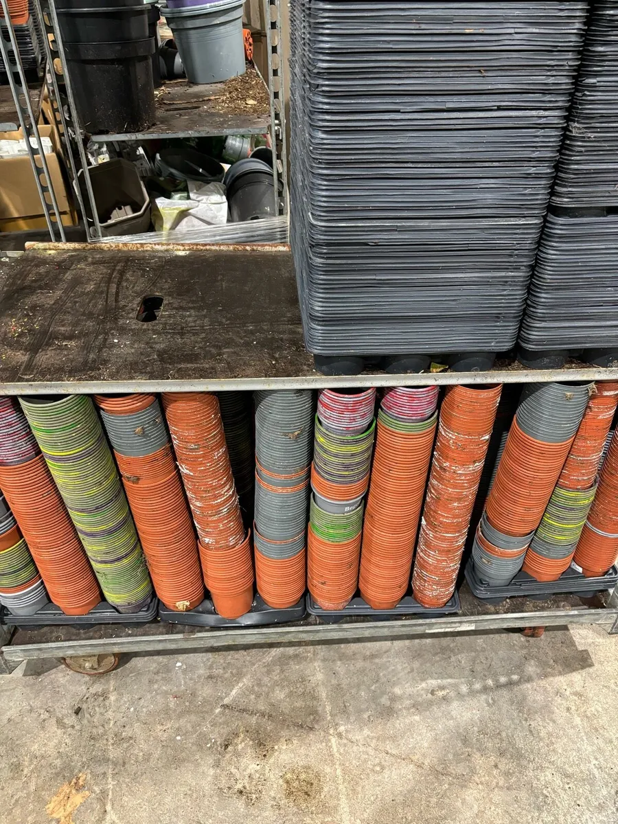 Horticulture Plant Pots and Trays - Image 3