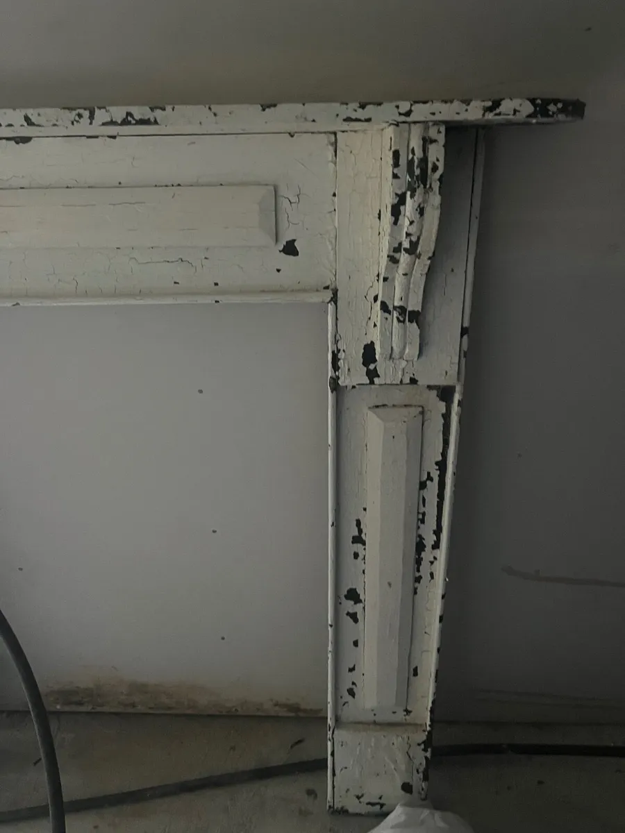 Fire Surround - Image 4