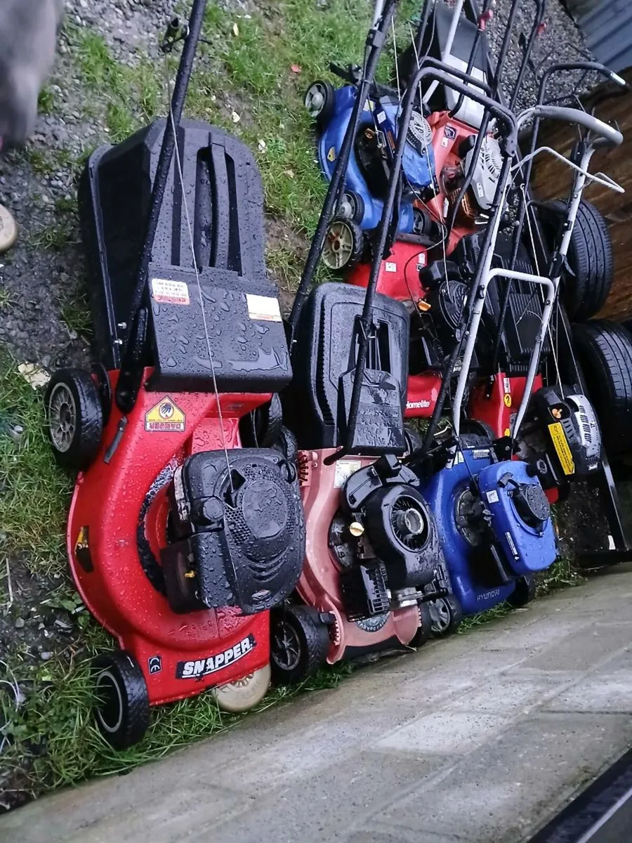 Shed clear out some law more start some don't - Image 2